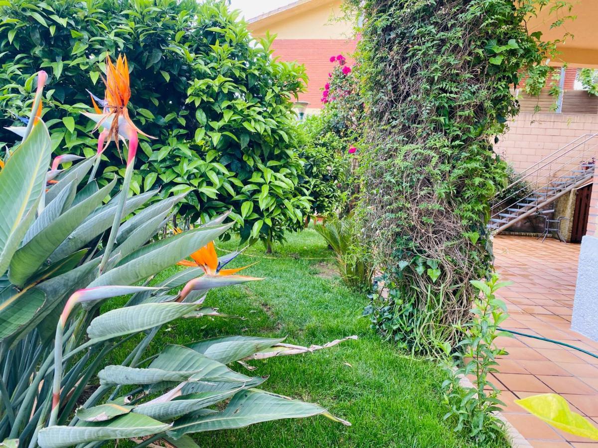 Apartamento Mar Y Montana Argentona Esterno foto